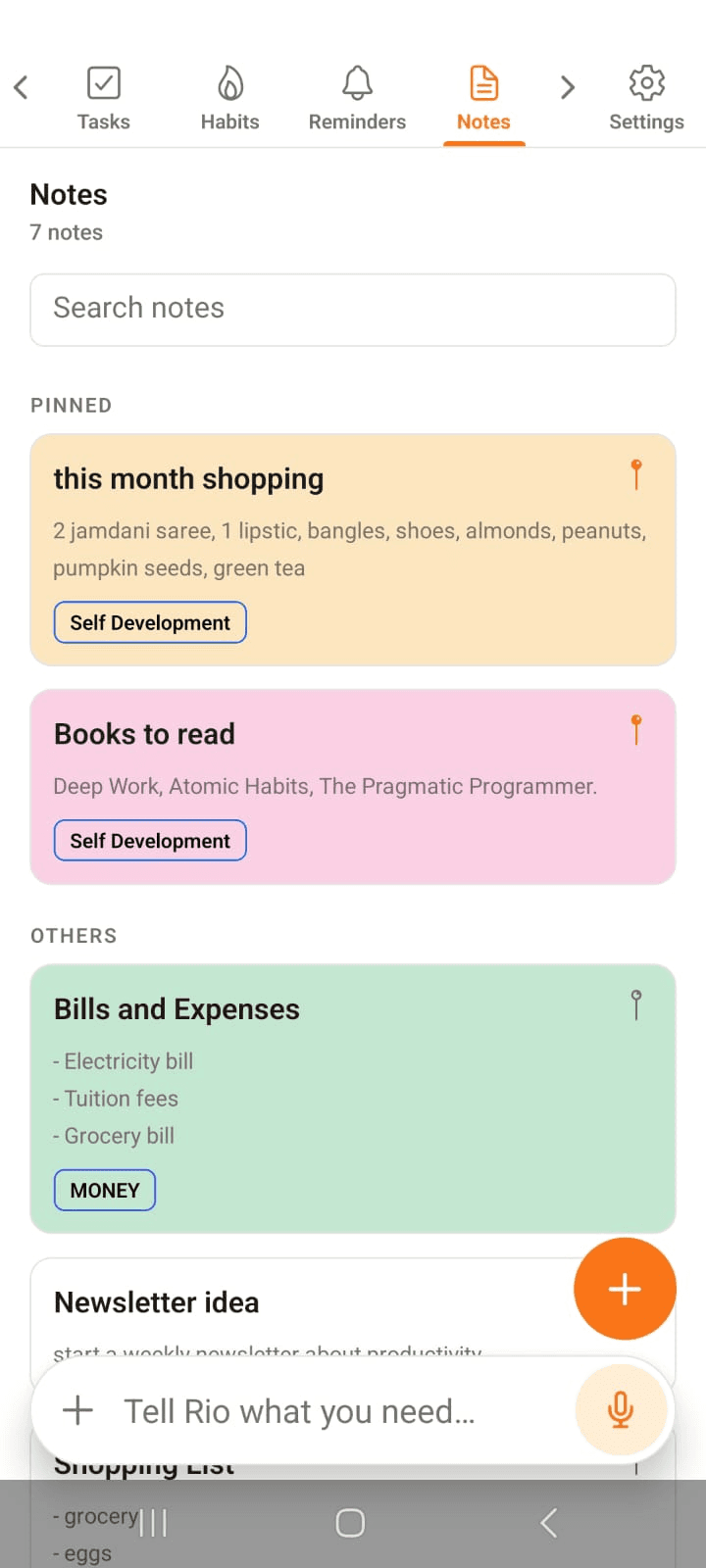 The Notes page with pinned notes on top